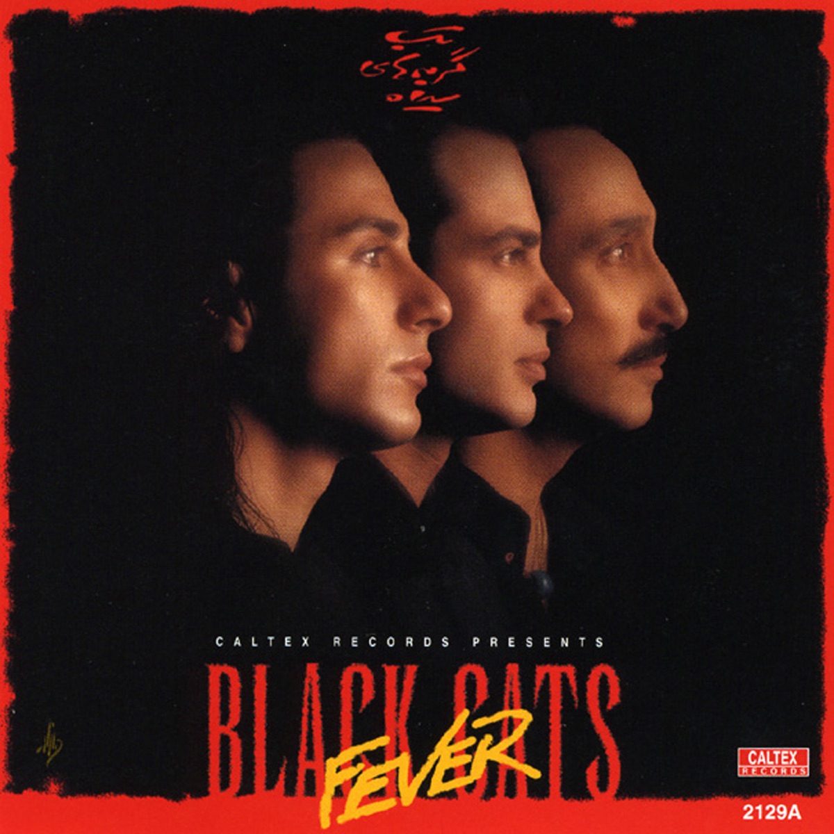 Fever by Black Cats album cover