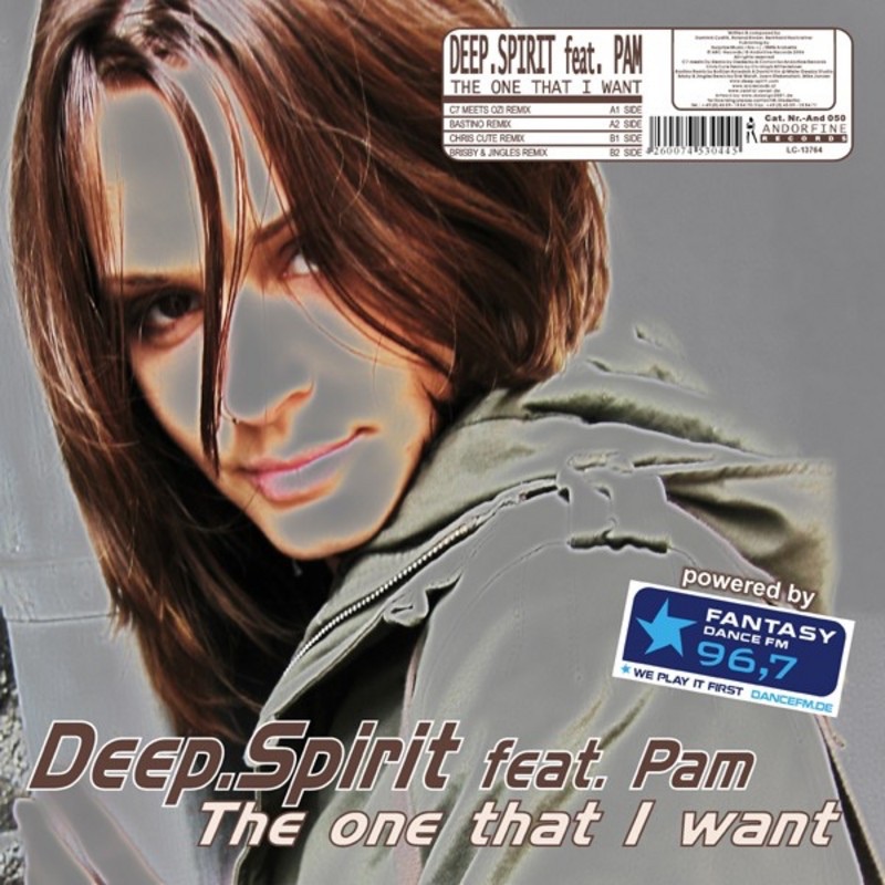 The One That I Want by Deep.Spirit album cover
