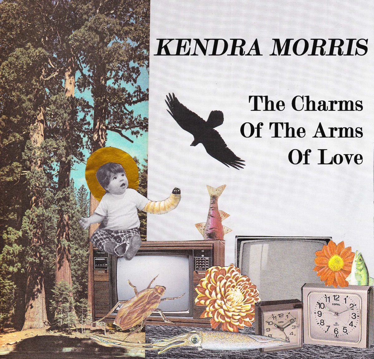 Charms of the Arms of Love - Single by Kendra Morris album cover