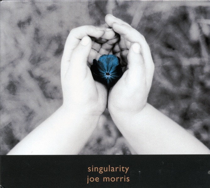 Singularity by Joe Morris album cover