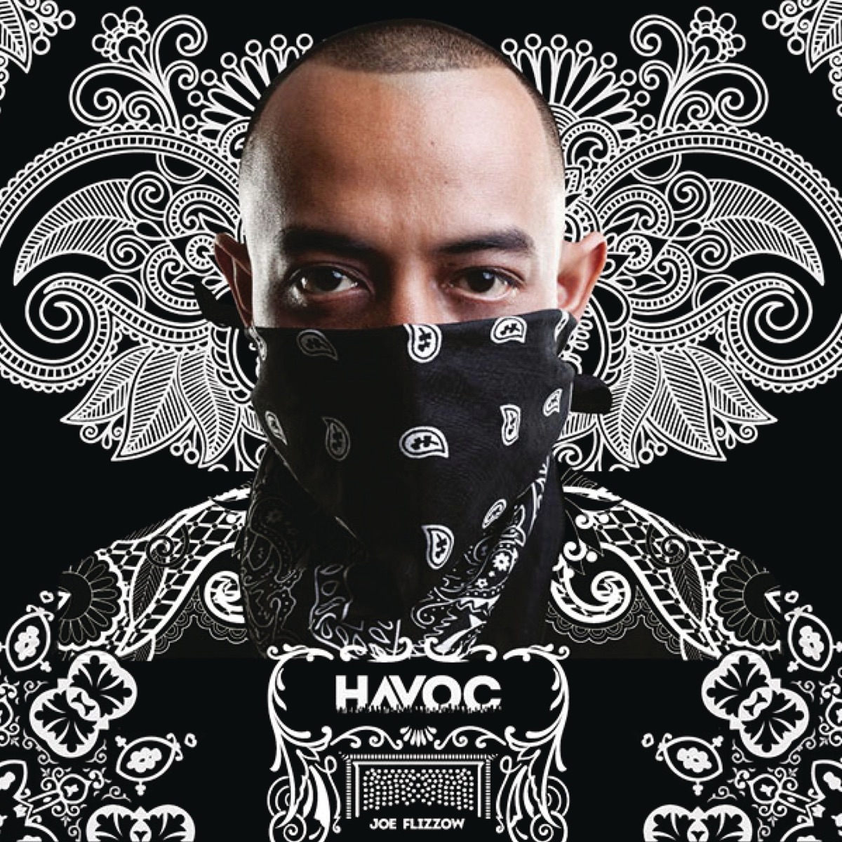Havoc by Joe Flizzow album cover