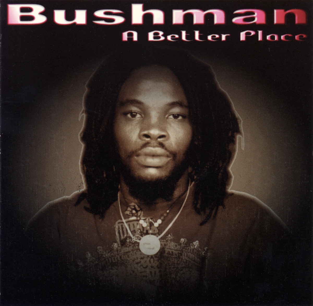 A Better Place by Bushman album cover
