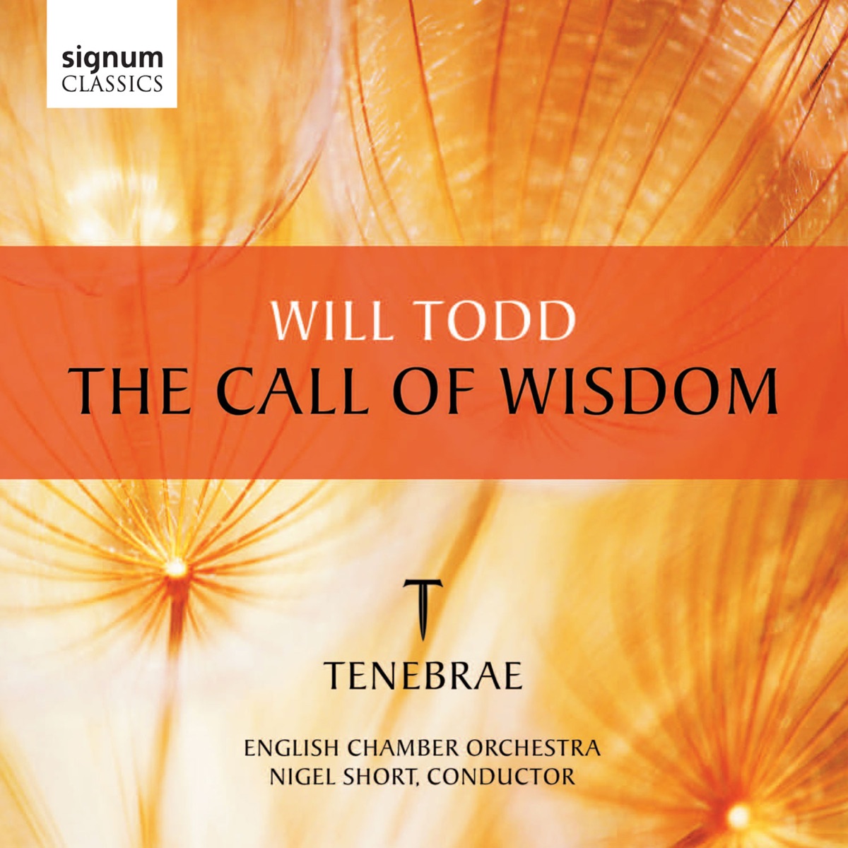 Will Todd: The Call of Wisdom by Nigel Short, Tenebrae & English Chamber Orchestra album cover