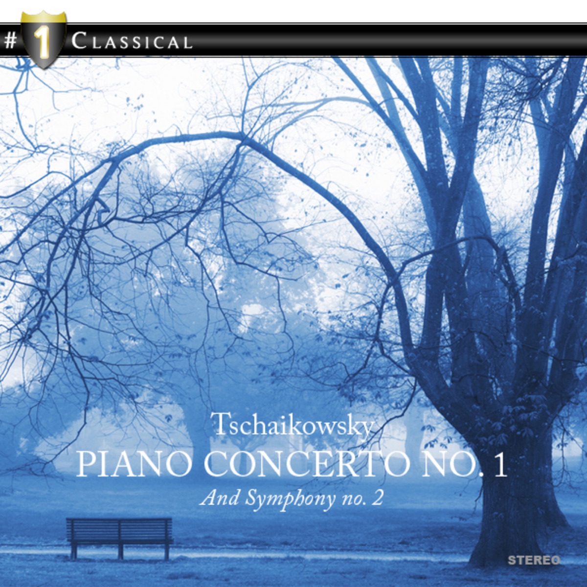 Tschaikowsky: Piano Concerto No. 1 & Symphony No. 2 by SWR Symphony Orchestra album cover