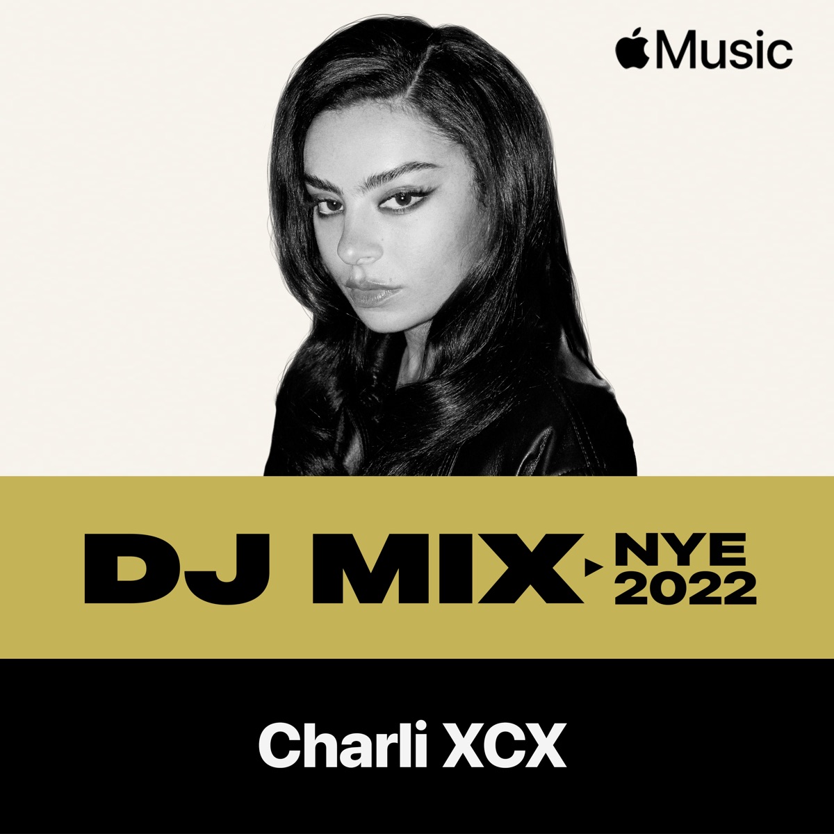 NYE 2022 (DJ Mix) by Charli xcx album cover artwork