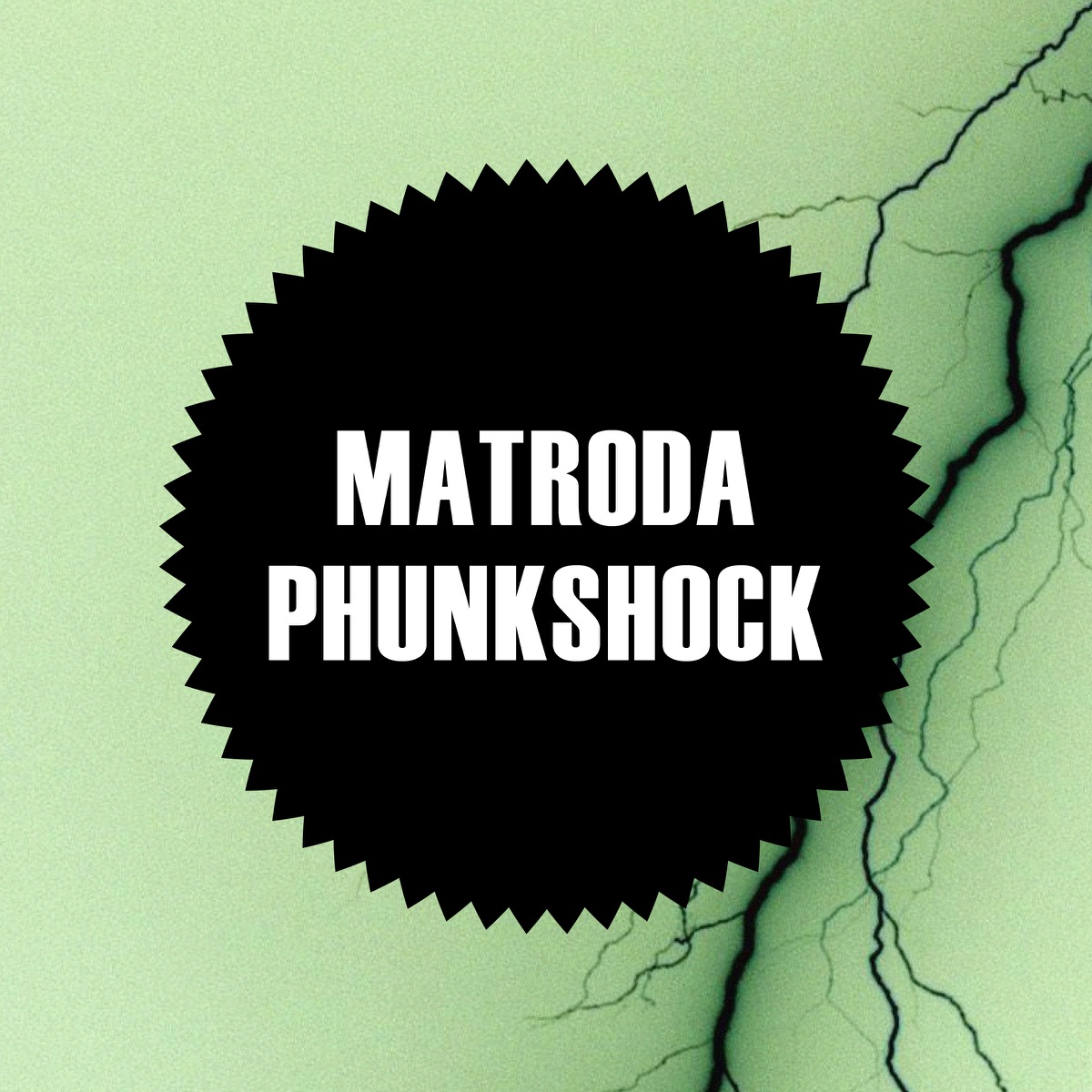 Phunkshock - Single by Matroda album cover