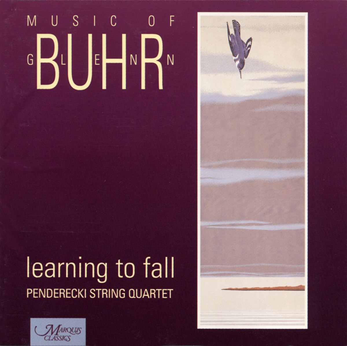 Learning to Fall by Penderecki String Quartet album cover
