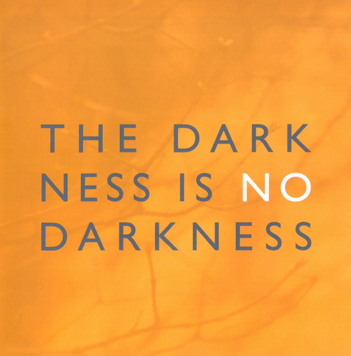 The Darkness Is No Darkness by Bengt Ollen, Sofia Vokalensemble, Hannah Holgersson, Michael Axelsson, Ivonne Fuchs & Andreas Olsson album cover