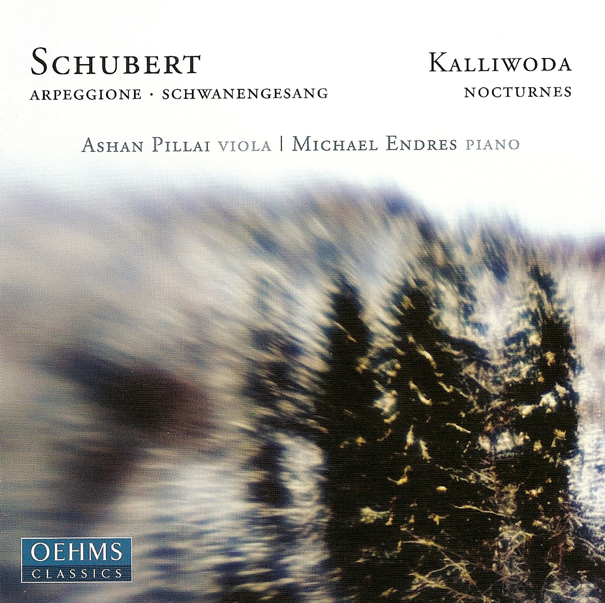 Schubert: Arpeggione Sonata - Schwanengesang (Arr. for Viola and Piano) - Kalliwoda: 6 Nocturnes by Michael Endres & Ashan Pillai album cover