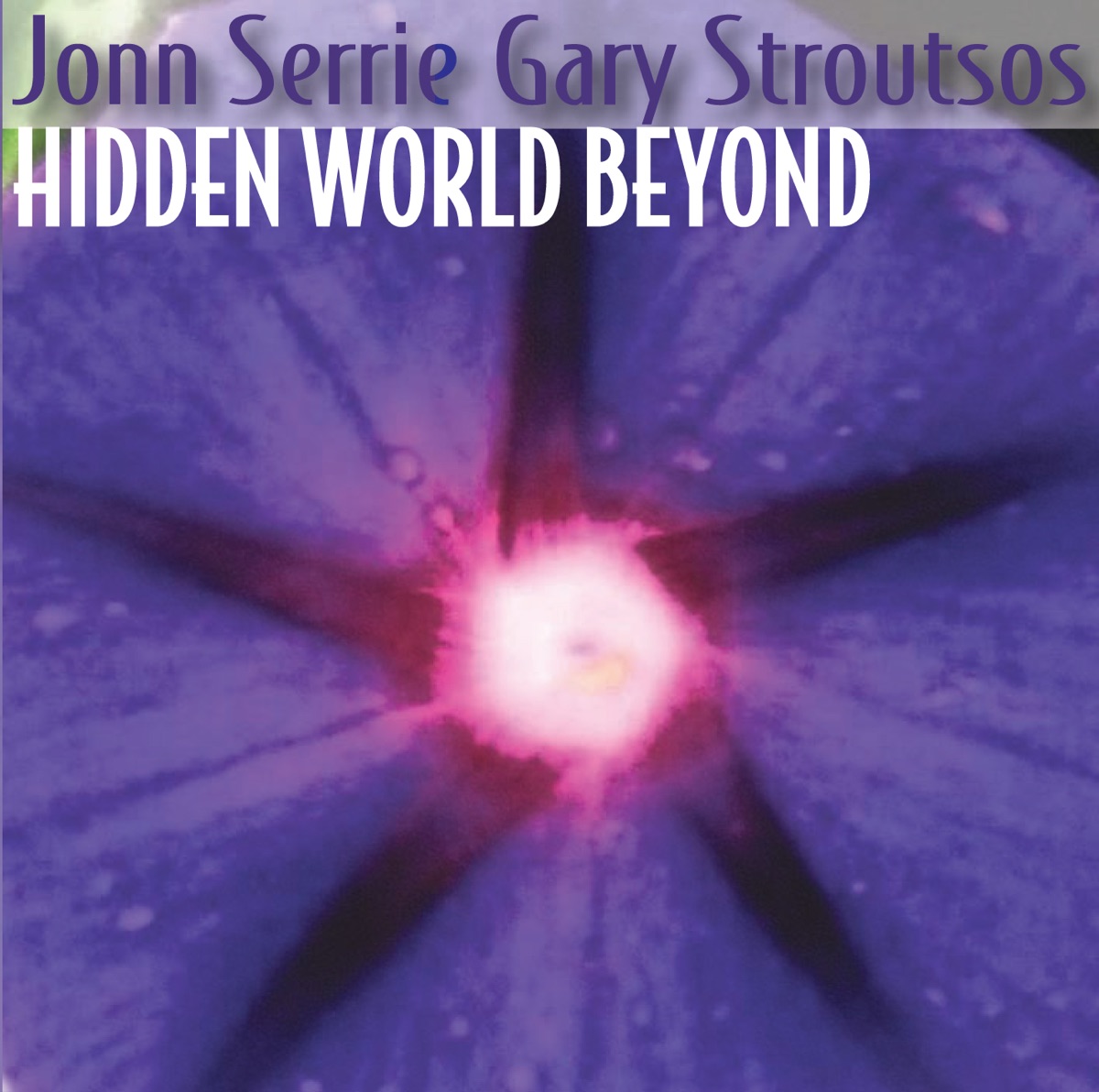 Hidden World Beyond by Jonn Serrie & Gary Stroutsos album cover