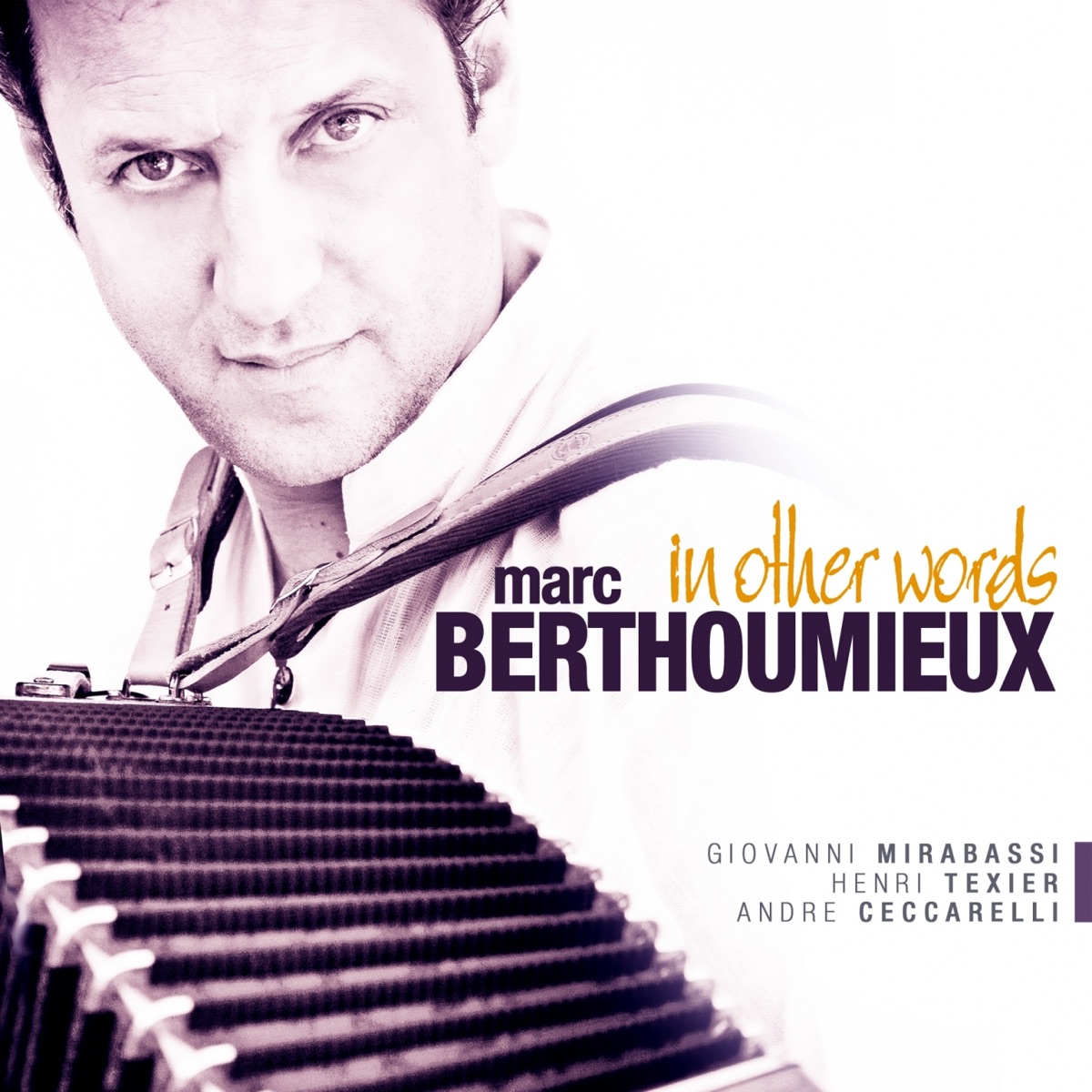 In Other Words by Marc Berthoumieux album cover