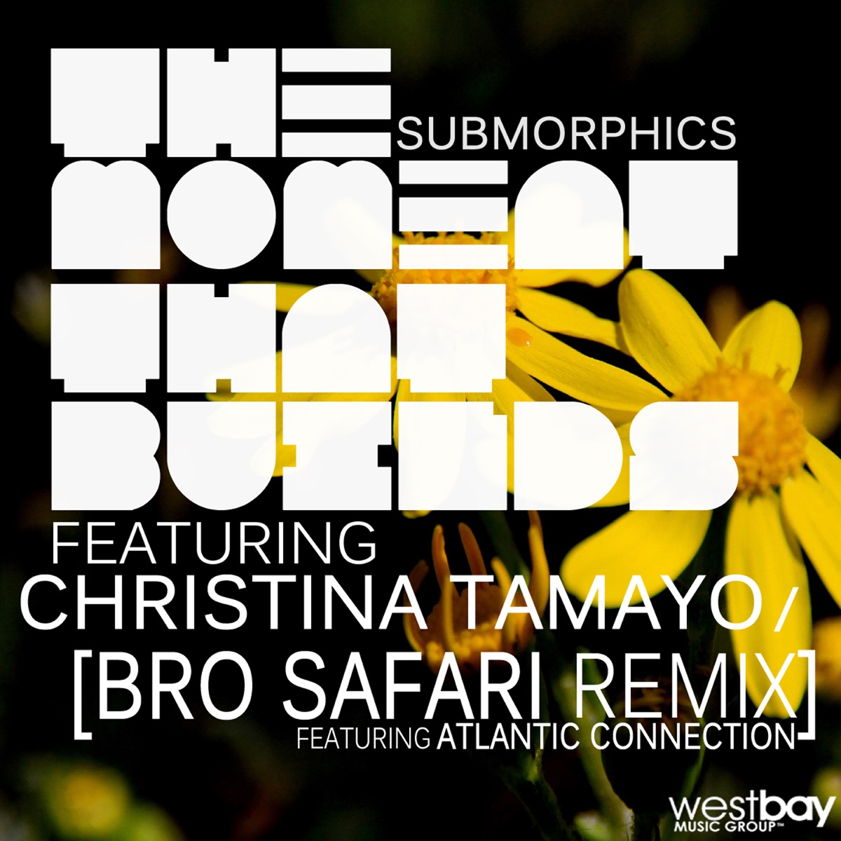The Moment That Builds (feat. Christina Tamayo) - Single by Submorphics album cover