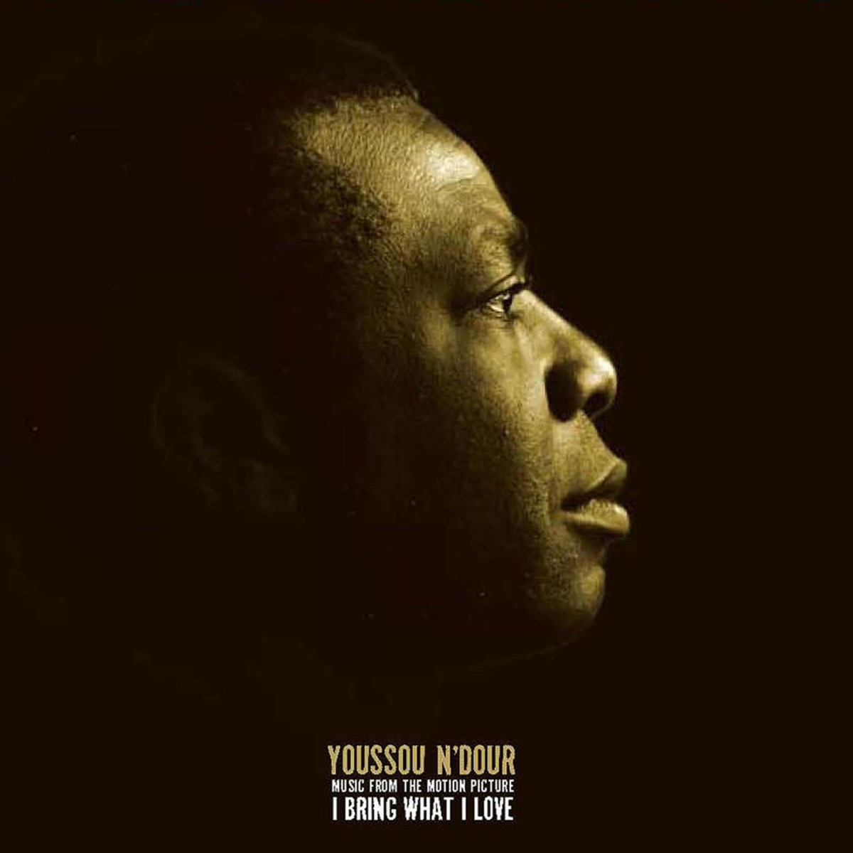 I Bring What I Love (Music from the Motion Picture) by Youssou N'Dour album cover