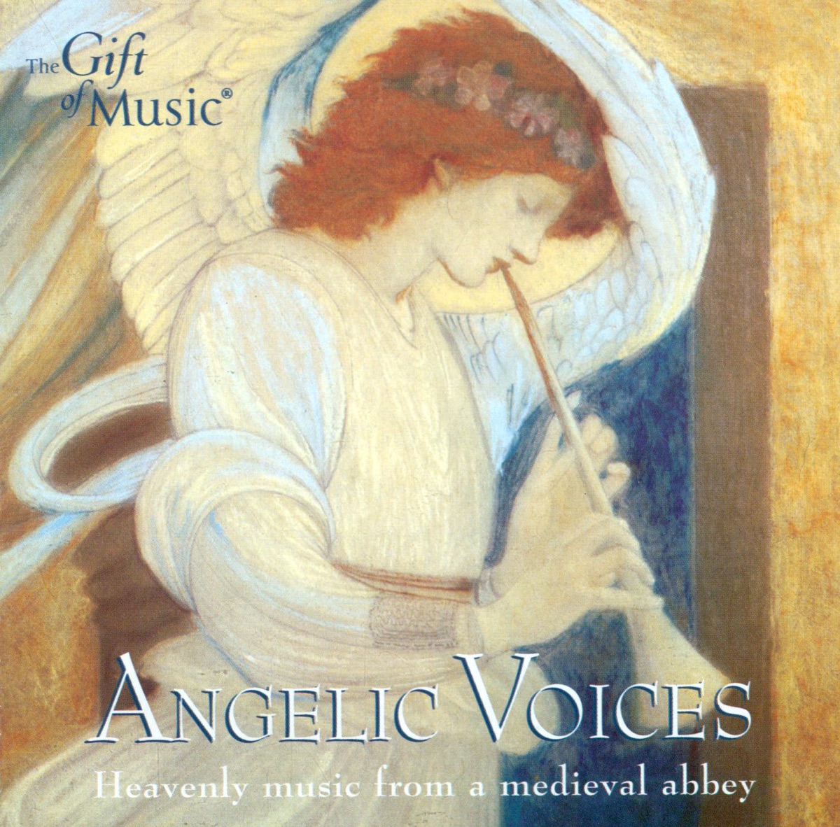 Hildegard Of Bingen: Choral Music (Angelic Voices - Heavenly Music From A Medieval Abbey) by Richard Vendome, Oxford Girls' Choir, Zachary Taylor, Hannah Taylor, Ciaran O'Keefe & David Bevan album cover