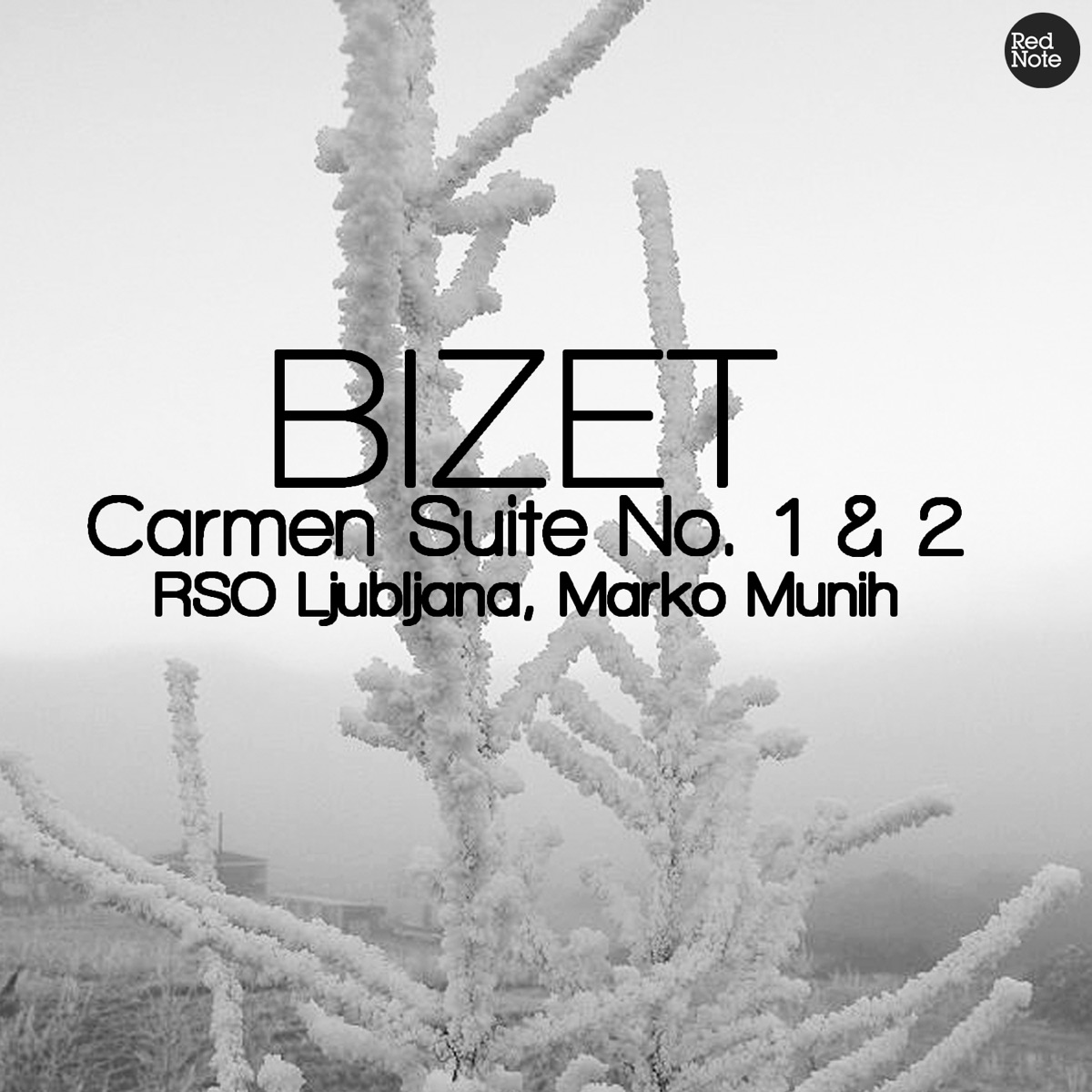 Bizet: Carmen Suite No. 1 & 2 by Radio Symphony Orchestra Ljubljana & Marko Munih album cover