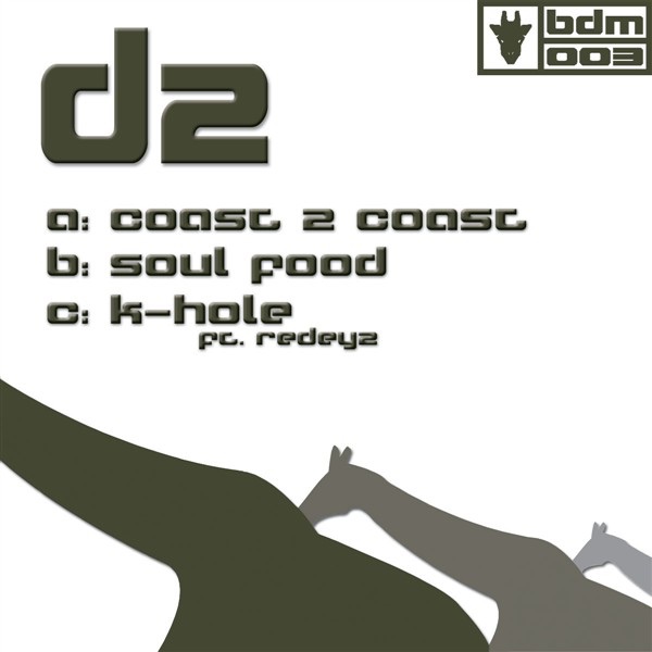BDM003 by DZ album cover