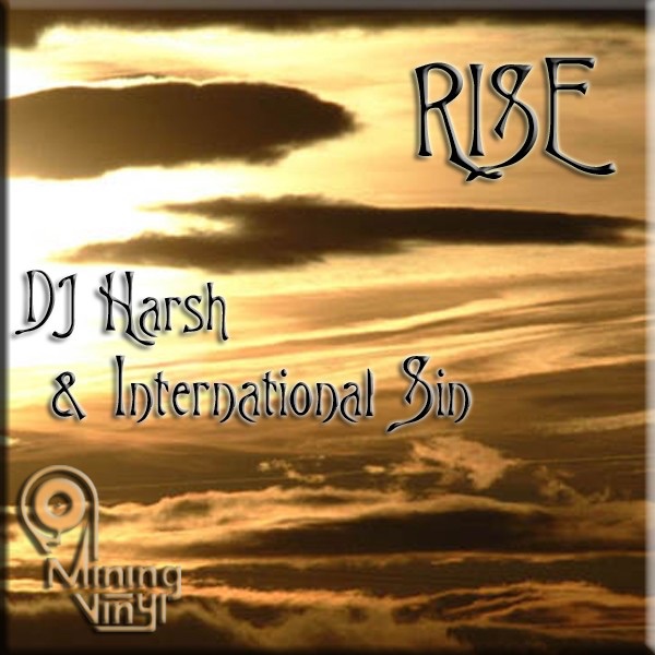 Rise - Single by DJ Harsh & International Sin album cover