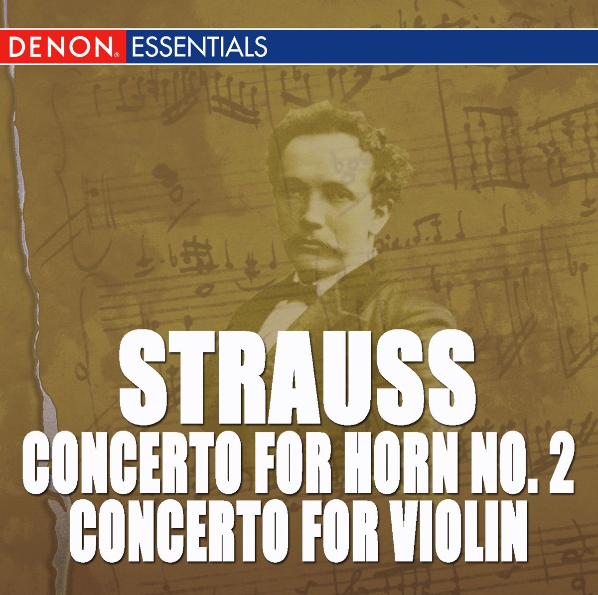 Richard Strauss Concertos by Moscow RTV Large Symphony Orchestra, Vladimir Fedoseyev & Viktor Galkin album cover