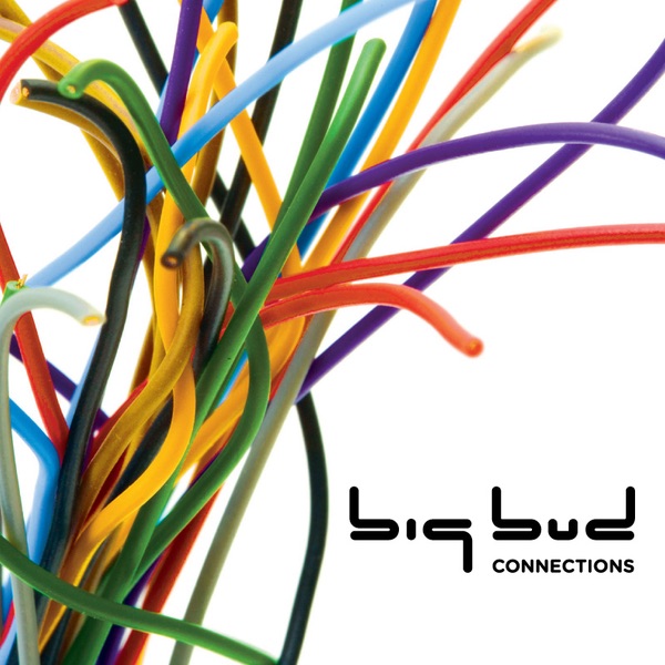Connections by Big Bud album cover