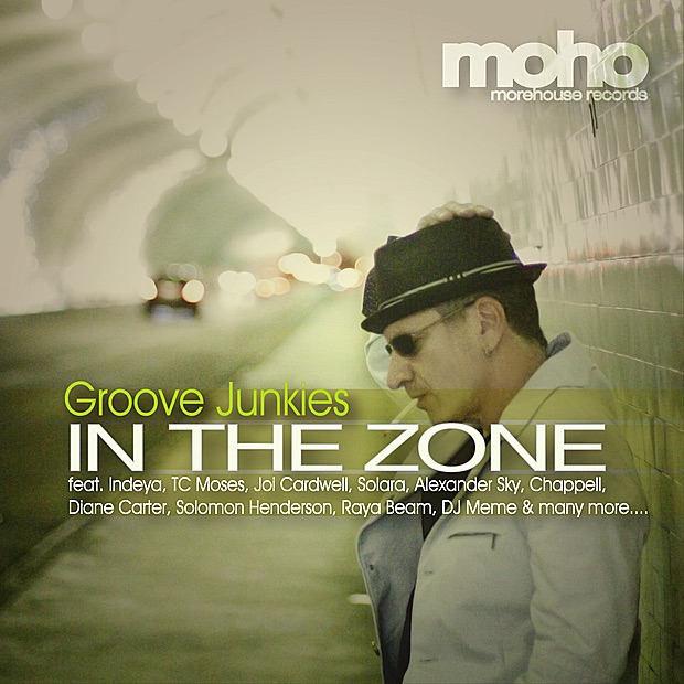 In the Zone by Groove Junkies album cover