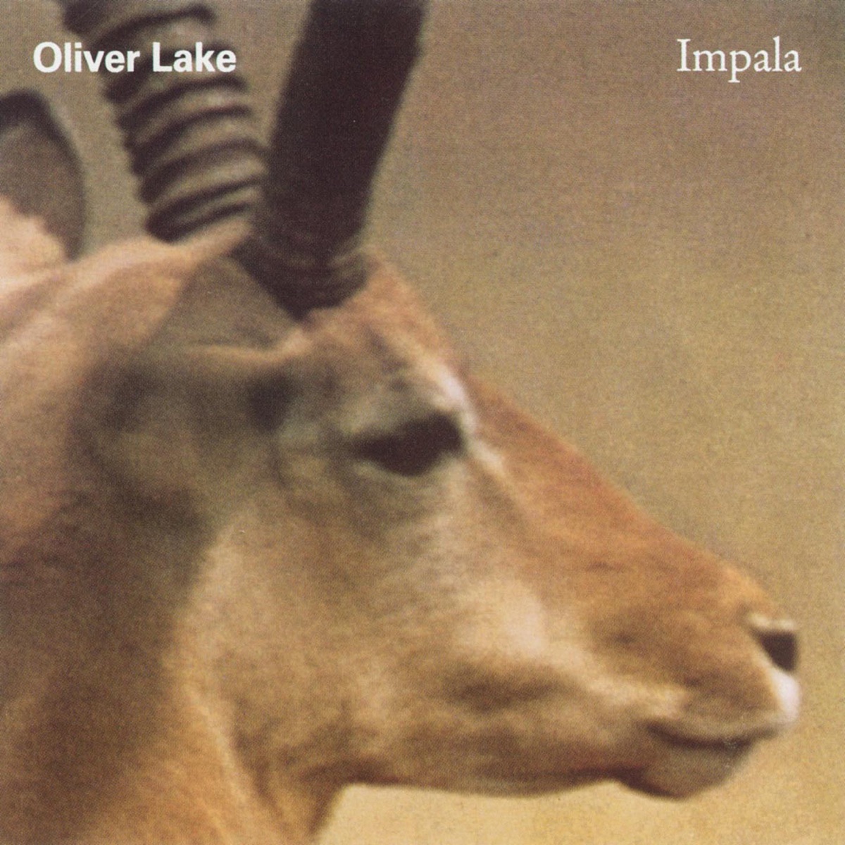 Impala by Oliver Lake album cover