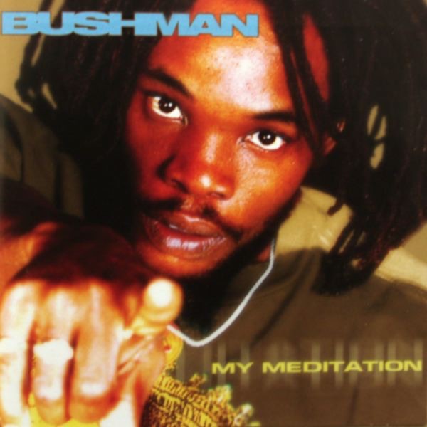 My Meditation by Bushman album cover