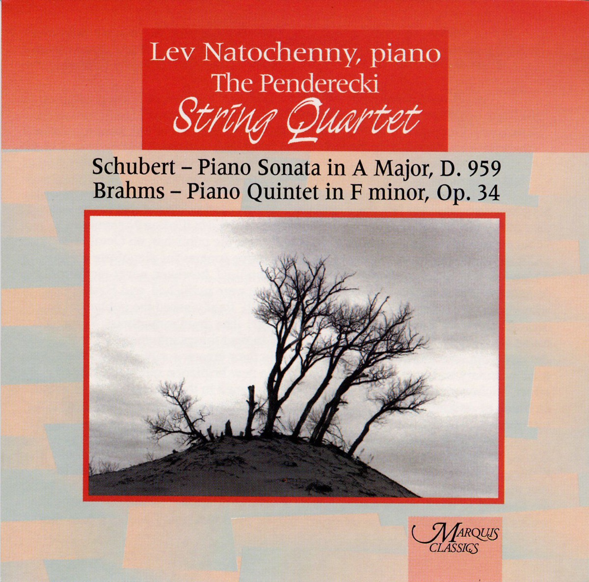 Schubert: Piano Sonata in A Major - Brahms: Piano Quintet in F Minor by Lev Natochenny & Penderecki String Quartet album cover