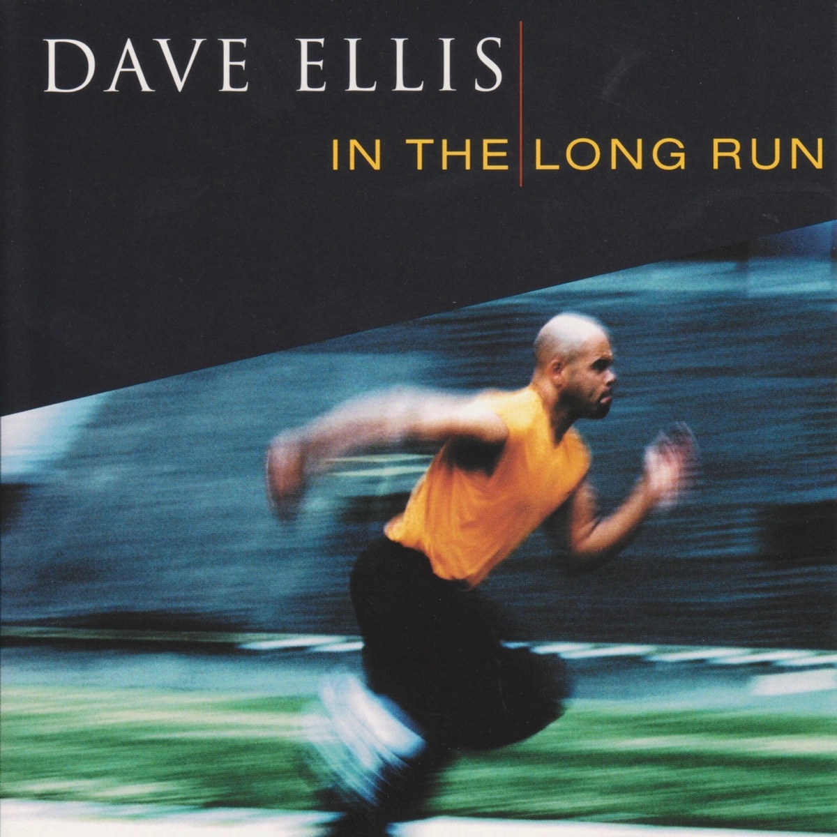 In the Long Run by Dave Ellis album cover