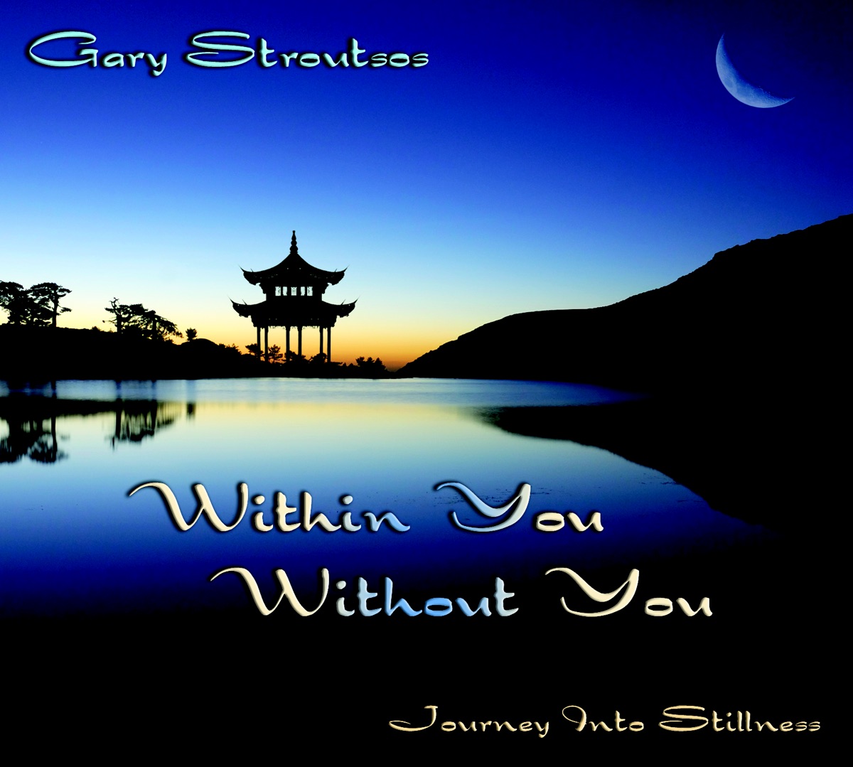 Within You Without You (Bonus Track Version) by Gary Stroutsos album cover