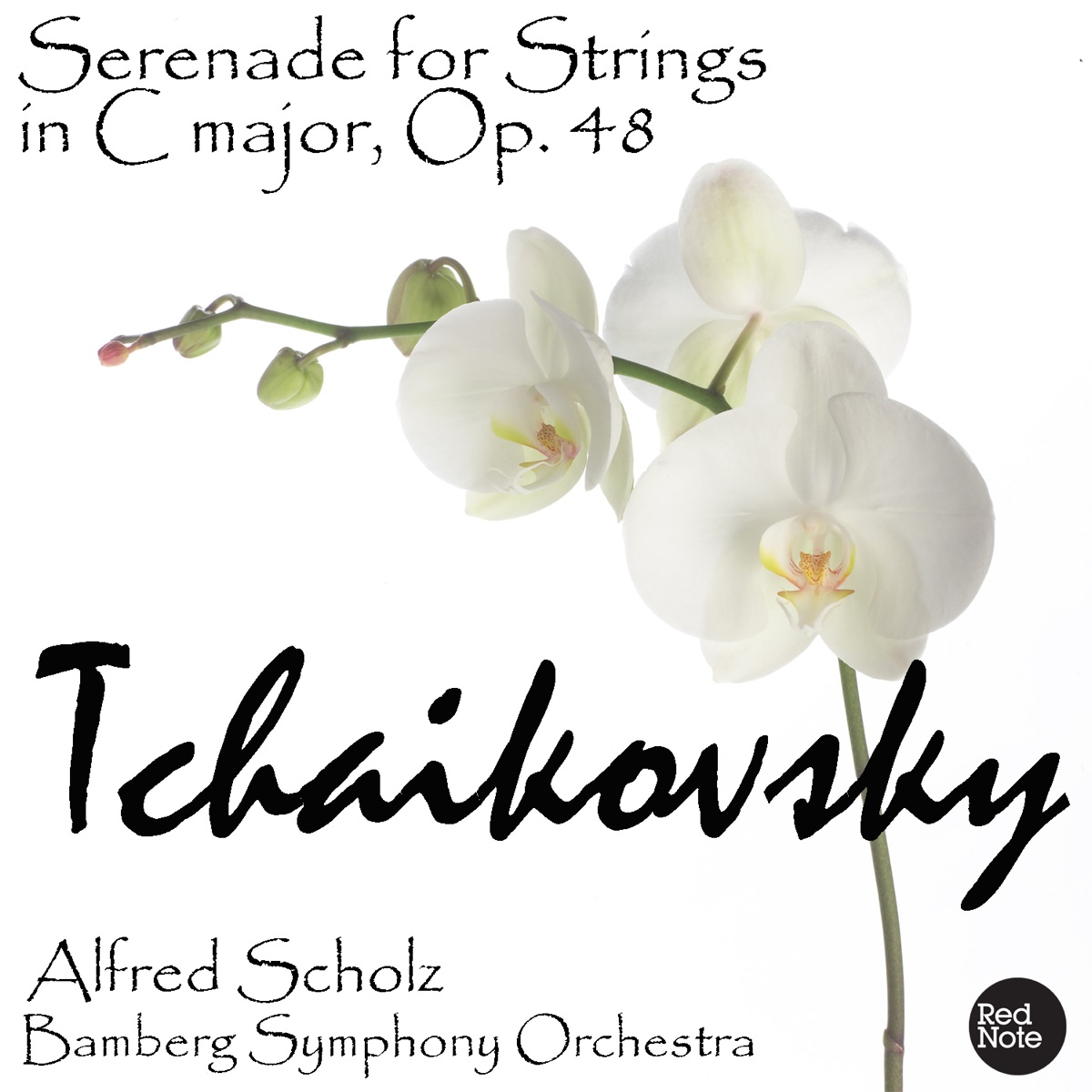 Tchaikovsky: Serenade for Strings in C major, Op. 48 by Bamberg Symphony Orchestra & Alfred Scholz album cover