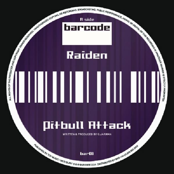 Pitbull Attack / Mind Bombing - Single by Raiden album cover