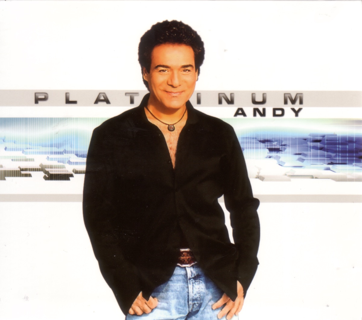 Platinum by Andy album cover