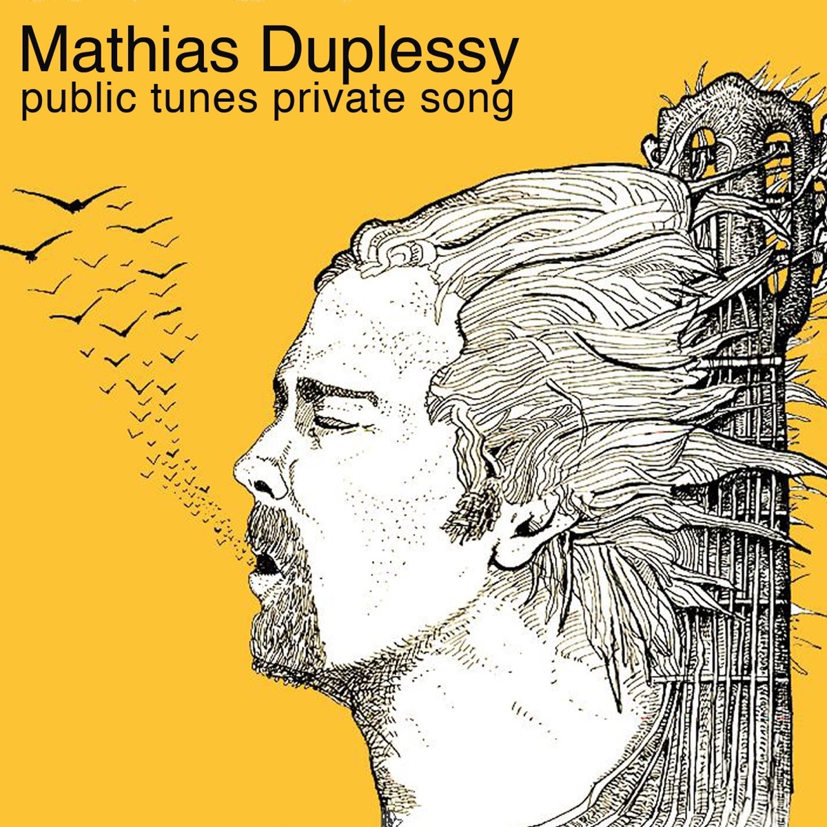 Public Tunes, Private Songs by Mathias Duplessy album cover