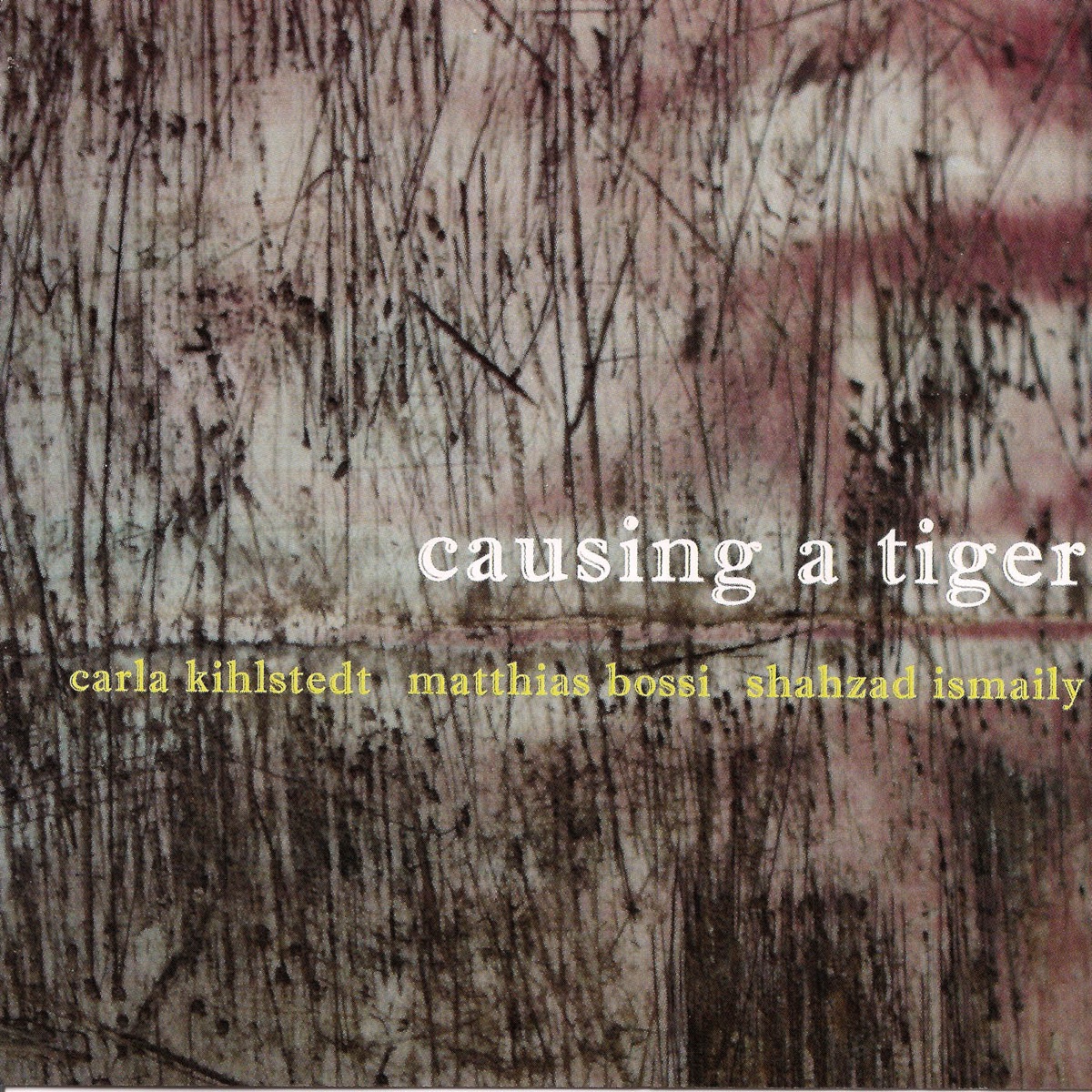 Causing a Tiger by Carla Kihlstedt, Matthias Bossi & Shahzad Ismaily album cover