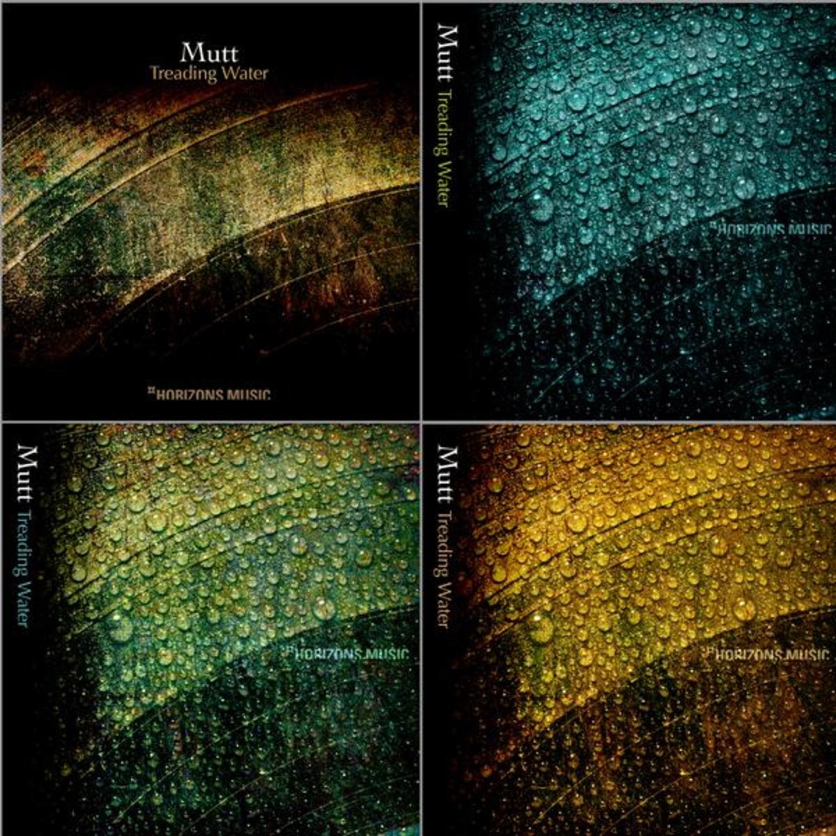 Treading Water by Mutt album cover