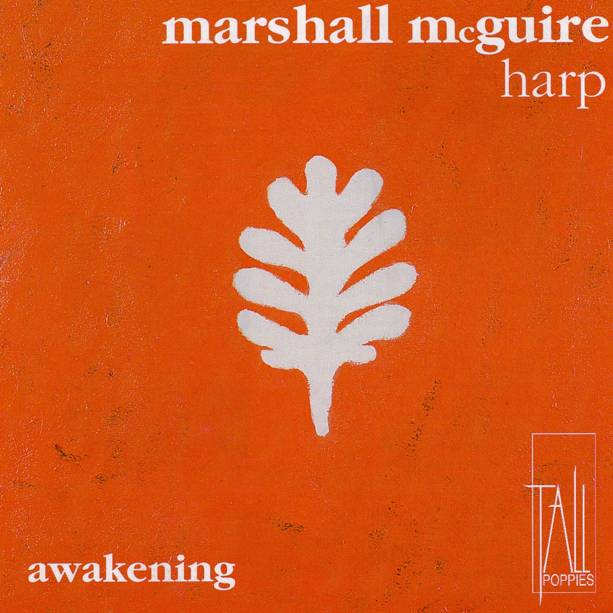 Awakening : Marshall Mcguire by Marshall McGuire album cover