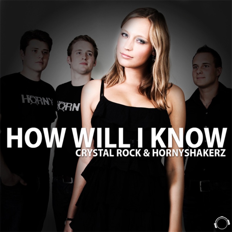 How Will I Know (Remixes) by Crystal Rock & Hornyshakerz album cover