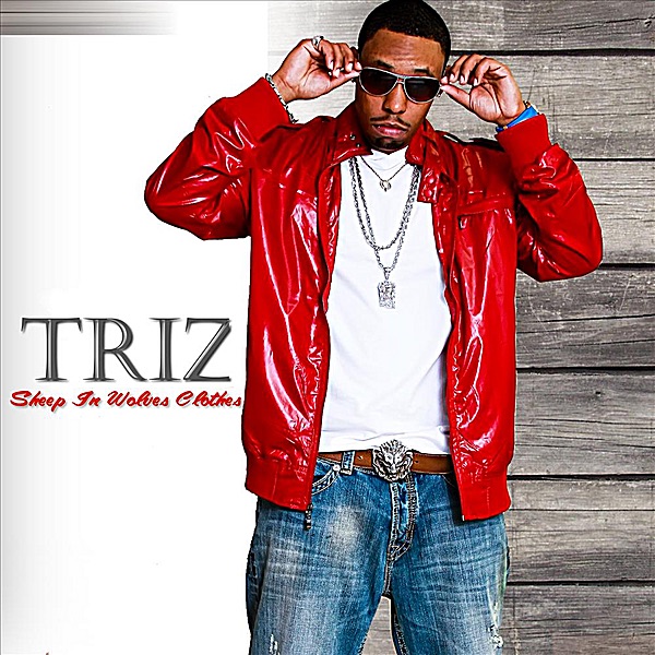Sheep In Wolves Clothes by Triz album cover