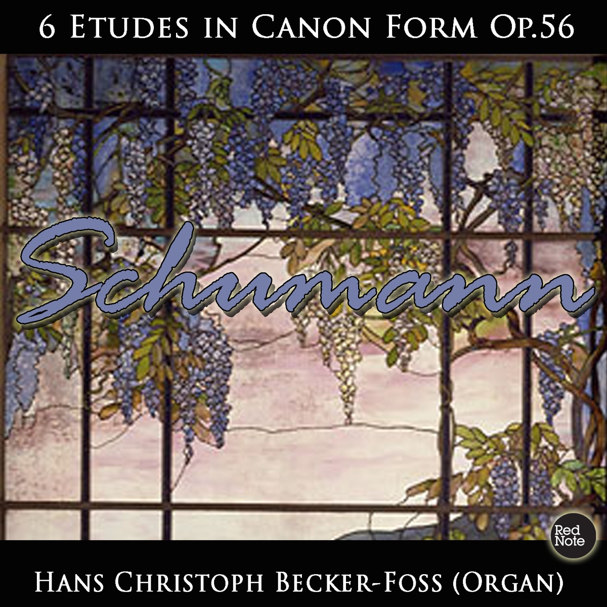 Schumann: 6 Etudes in Canon Form Op.56 by Hans-Christoph Becker-Foss album cover