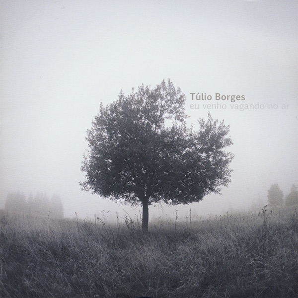 Eu Venho Vagando No Ar by Túlio Borges album cover