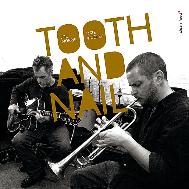Tooth And Nail by Joe Morris & Nate Wooley album cover