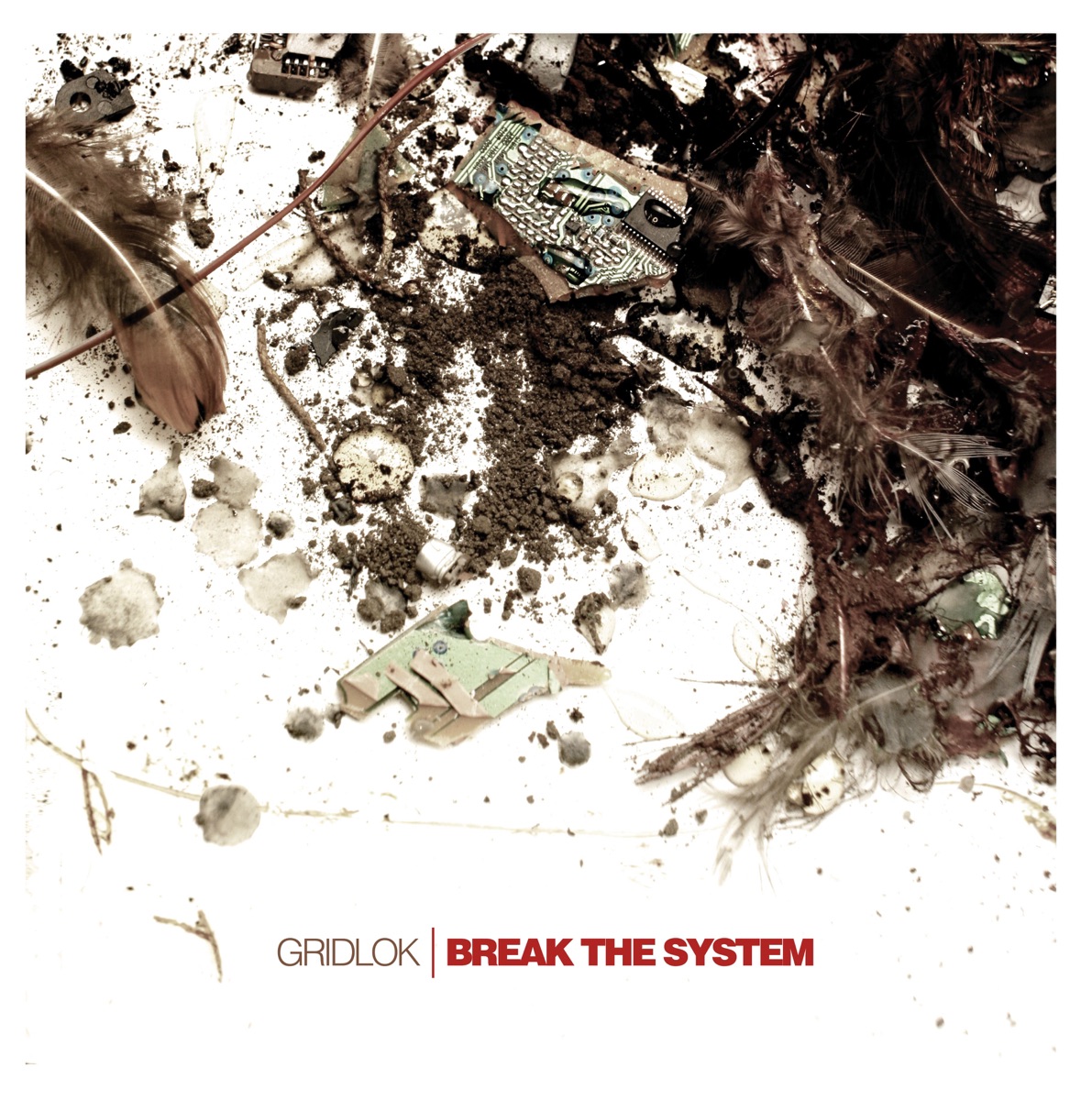 Break the System by Gridlok album cover