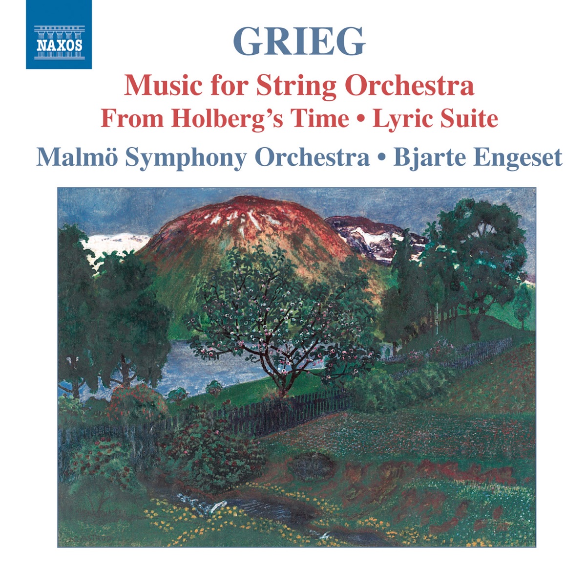 Grieg: Music for String Orchestra by Bjarte Engeset & Malmö Symphony Orchestra album cover