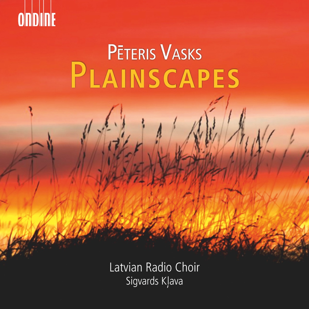 Vasks: Plainscapes by Sigvards Kļava, Latvian Radio Choir, Guna Aboltina, Sandis Šteinbergs & Janis Kokins album cover