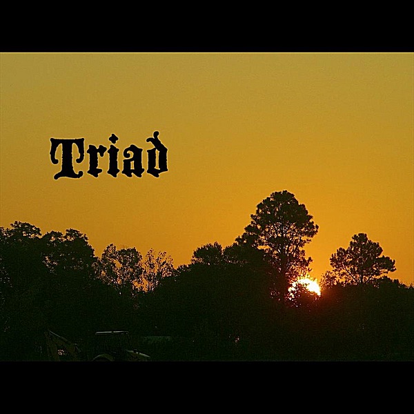 Fight (For What's Right) - Single by Triad album cover