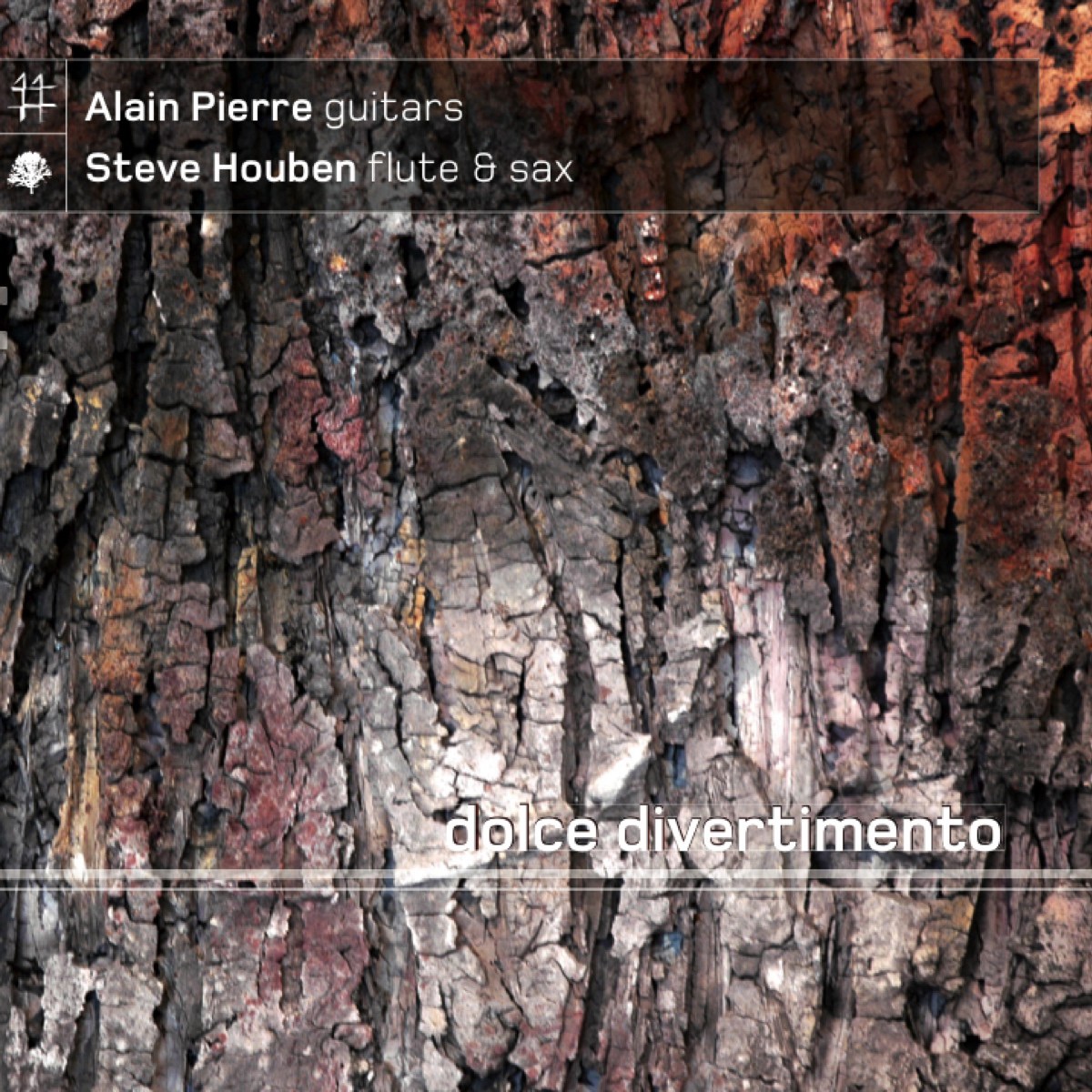 Dolce Divertimento by Alain Pierre & Steve Houben album cover