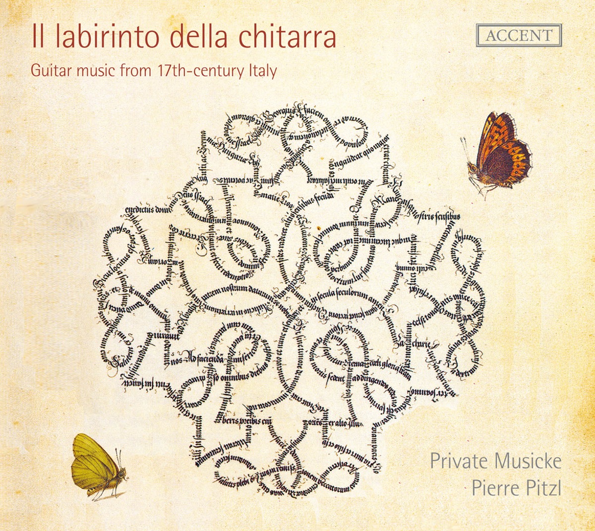 Il labirinto della chitarra by Pierre Pitzl & Private Musicke album cover