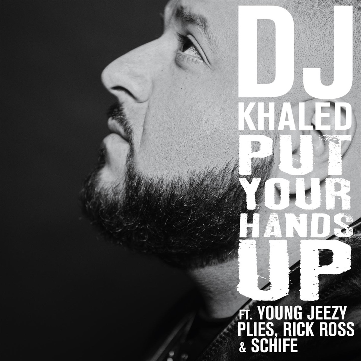 Put Your Hands Up (feat. Young Jeezy, Plies, Rick Ross & Schife) - Single by DJ Khaled album cover
