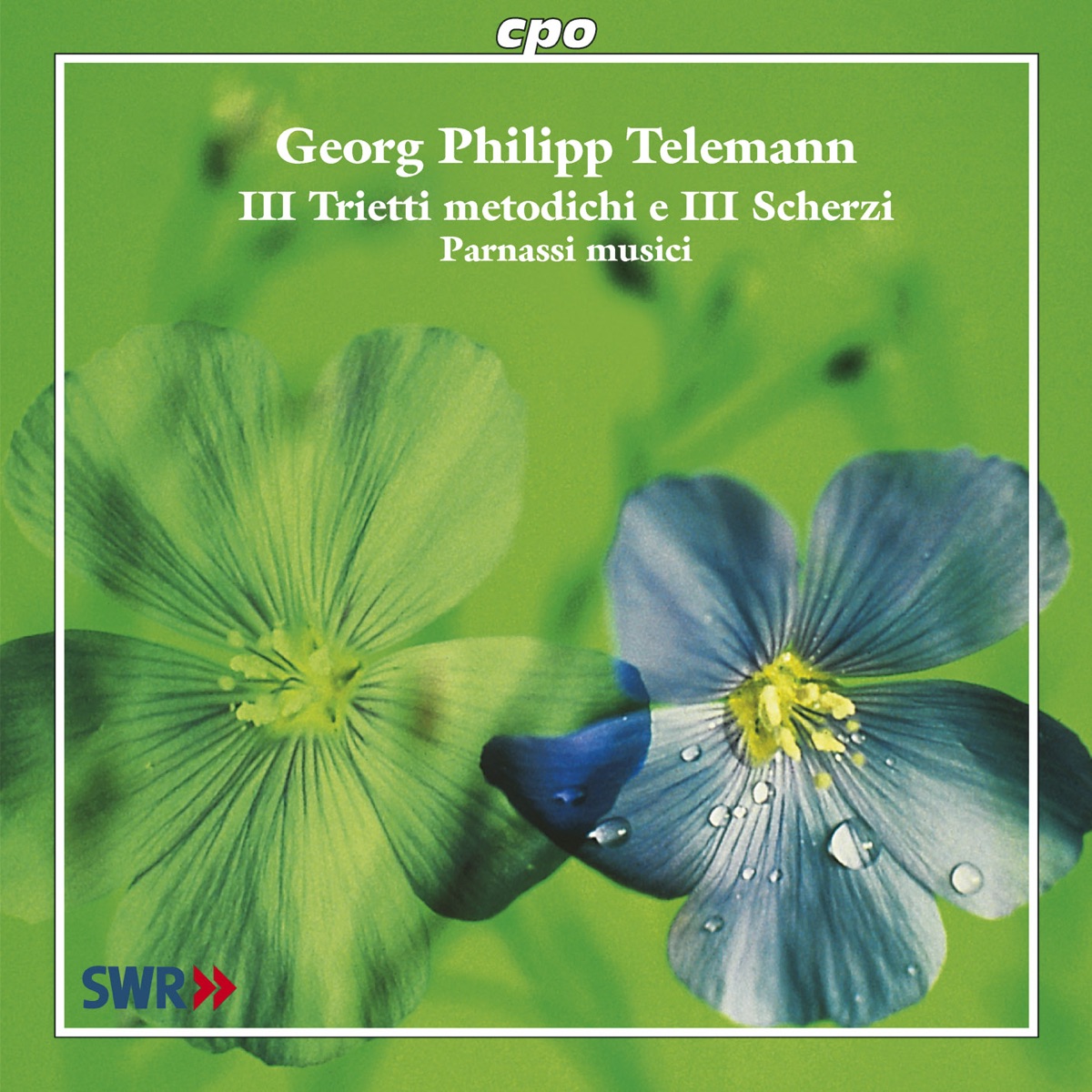 Telemann, G.P.: Chamber Music (Parnassi Musici) by Parnassi Musici album cover