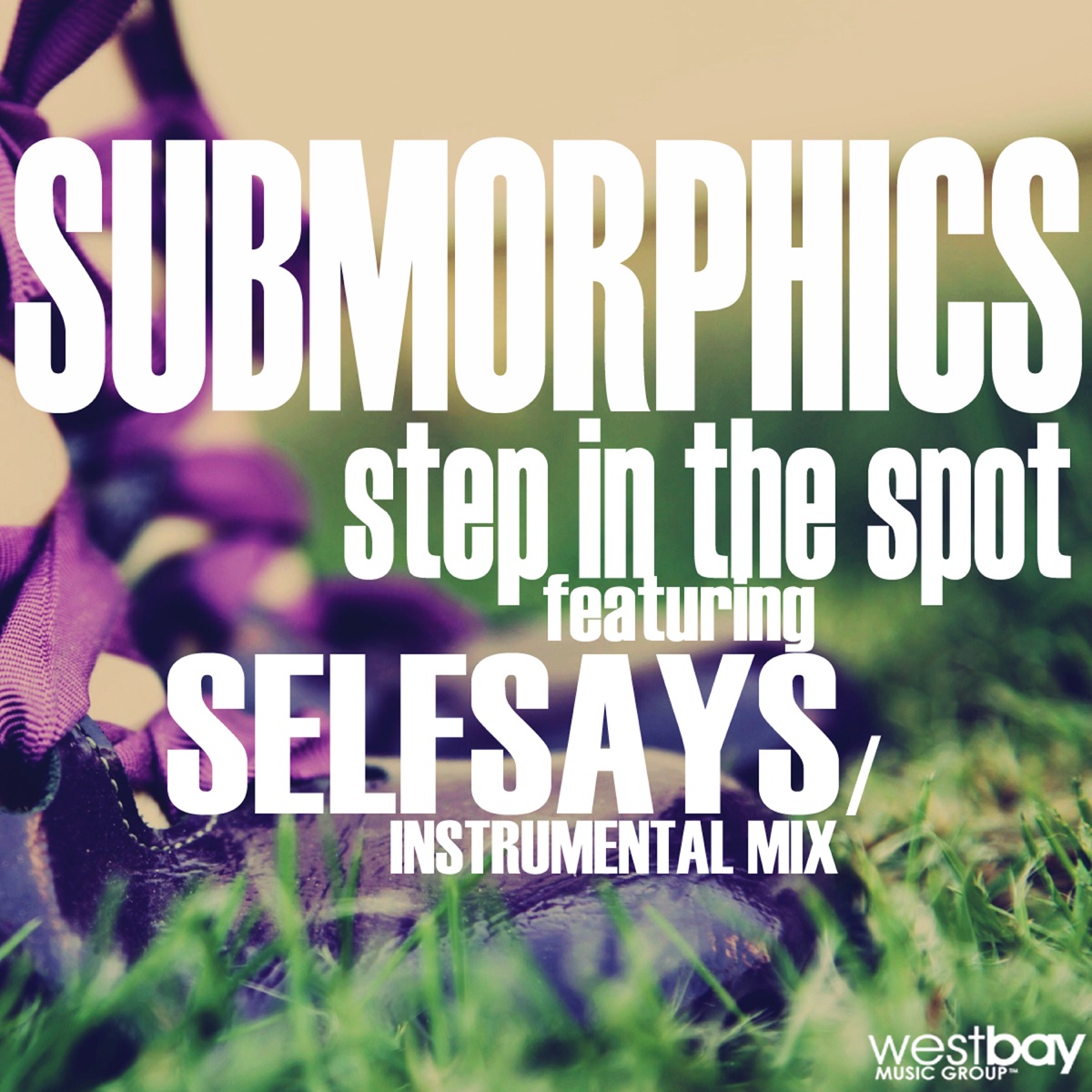 Step In the Spot (feat. Selfsays) - Single by Submorphics album cover
